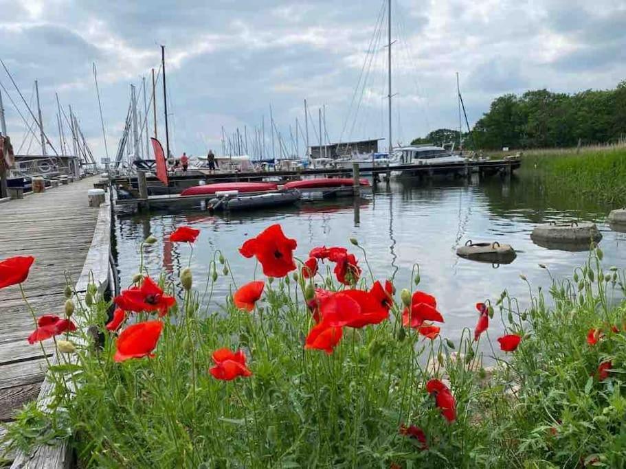Ferienhaus Mit Wasserblick Auf Der Insel Usedom Krummin Exterior foto